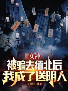 女神被骗去缅北后我成了送阴人主角